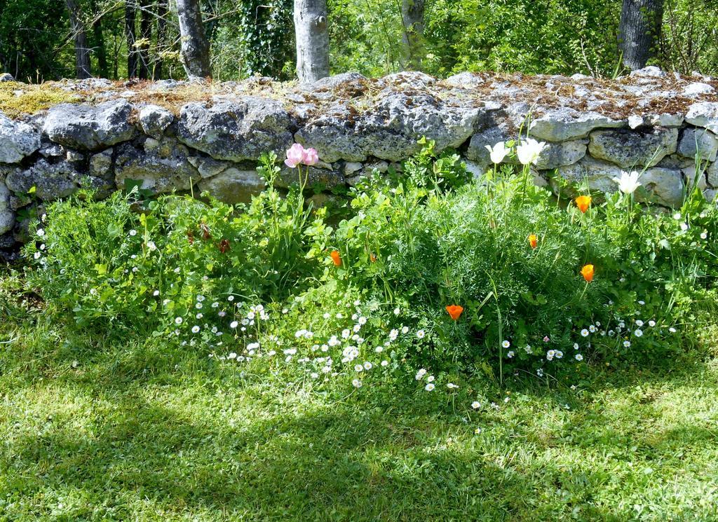 Bed and Breakfast Le Colombier Villeneuve-sur-Lot Exteriér fotografie